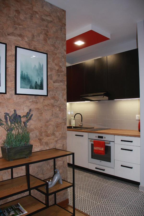 Niko Apartments 1 克拉科夫 外观 照片